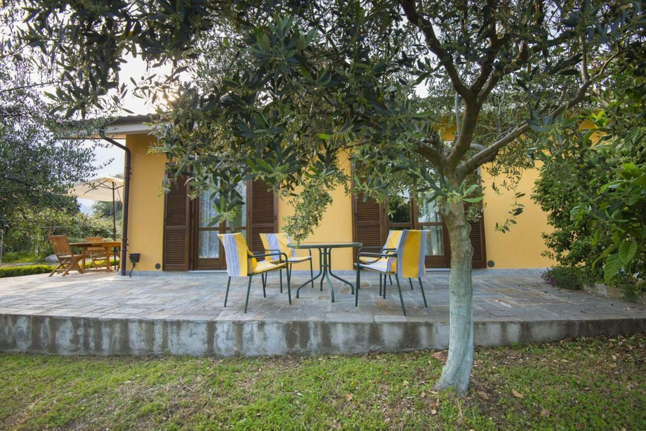 Agrialpi By Salfrutta Bed & Breakfast Bricherasio Ngoại thất bức ảnh